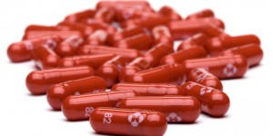 Covid-19 : les promesses et les interrogations des deux pilules antivirales de Merck et Pfizer