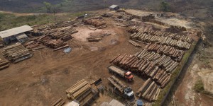 La déforestation de l’Amazonie brésilienne s’accélère