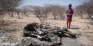 Dans le nord du Kenya, la sécheresse affame les hommes et les bêtes