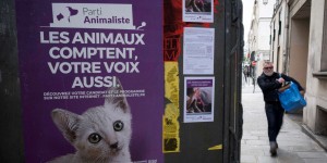 « Animaliste » dans « Le Monde », de « l’abbé des bêtes » au « welfarisme »