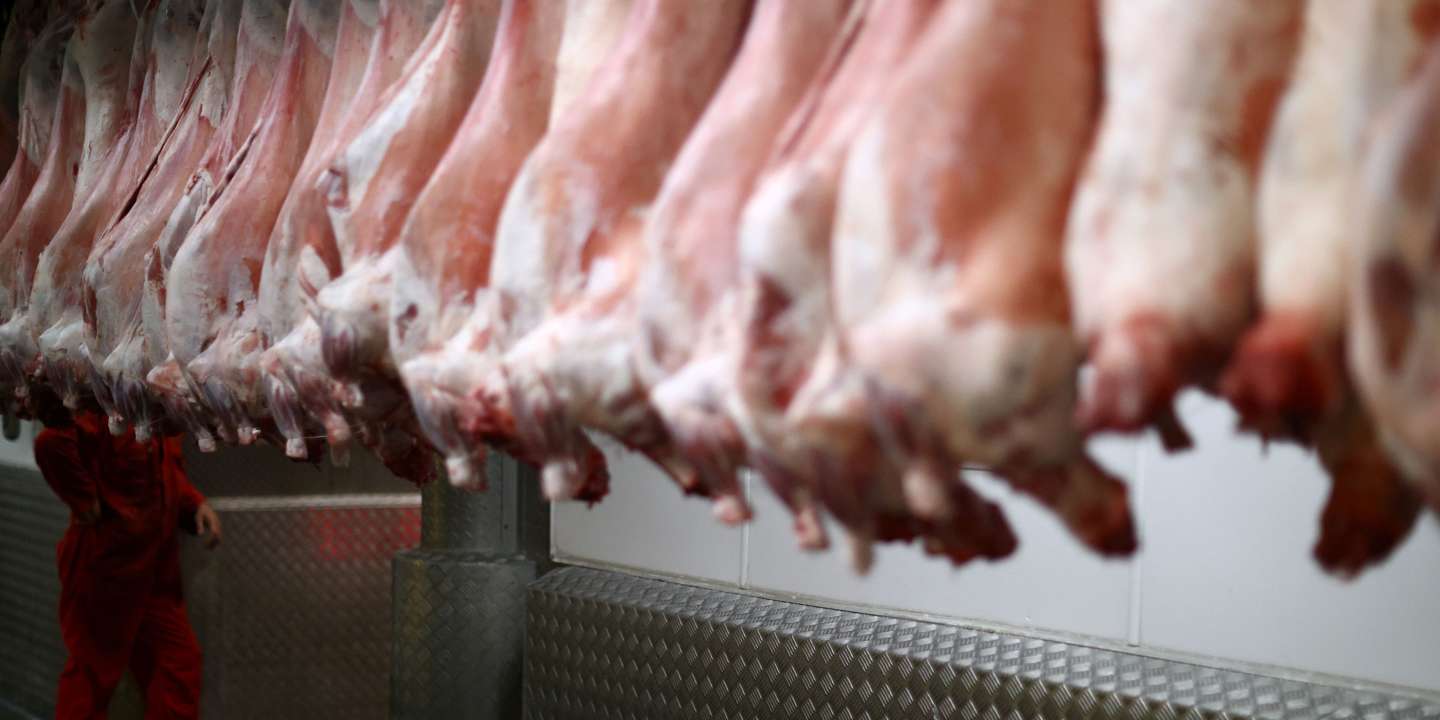 Environnement : un rapport dénonce l’impact toujours plus néfaste de grandes entreprises européennes de la viande et des produits laitiers