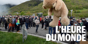 L’ours dans les Pyrénées : vingt-cinq ans de tensions