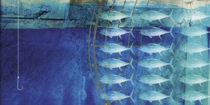 Mode d’emploi pour manger du poisson sans (trop de) casse environnementale