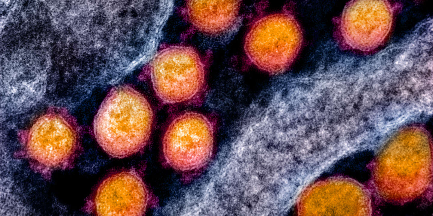 Covid-19 et « anticorps facilitants » : les vaccins aggravent-ils les infections au coronavirus ?