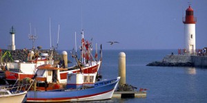 Le garant des quotas de pêche condamné pour pêche illicite de thon rouge
