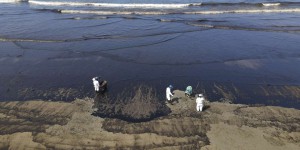 Au Pérou, une marée noire met en péril la flore et la faune