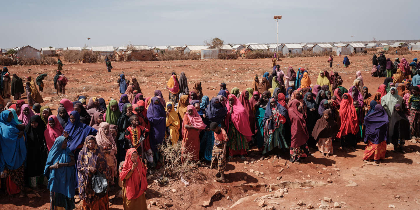 A Baidoa, en Somalie, où « la sécheresse a tout tué », convergent des centaines de milliers d’affamés