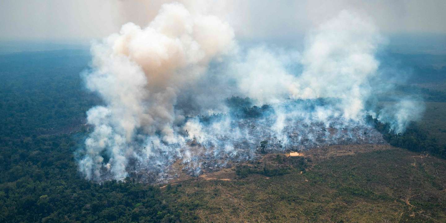 Colombie : des feux en Amazonie mettent la capitale sous « alerte environnementale »
