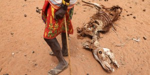 La famine menace 13 millions de personnes dans la Corne de l’Afrique