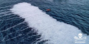 Golfe de Gascogne : la thèse d’un « rejet » de milliers de poissons récusée par le navire impliqué