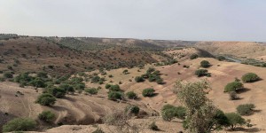 Le Maroc accablé par une sécheresse exceptionnelle