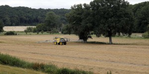 Pesticides: les objectifs du Pacte vert européen sont menacés