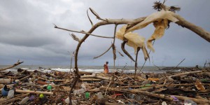 La pollution plastique a atteint « toutes les parties des océans », alerte le WWF