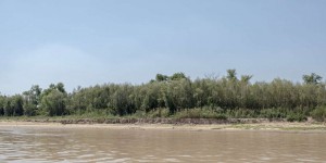 Argentine : le fleuve Parana subit une sécheresse historique