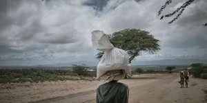 A Madagascar, derrière l’alibi du climat, les raisons d’une famine