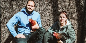 « Notre objectif, c’est qu’elles aient une belle vie » : en Bretagne, l’adoption plutôt que l’abattoir pour les poules
