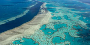 Réchauffement climatique : en Australie, la Grande Barrière de corail victime d’un « vaste blanchissement »