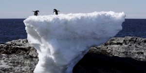 Record de températures battu en Antarctique