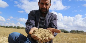 « Cela devient très difficile d’irriguer nos terres » : en Tunisie, les agriculteurs désemparés face au manque d’eau