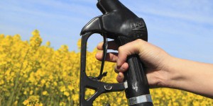 Energie : « Suspendre le soutien aux biocarburants peut aider à compenser la flambée des prix agricoles »