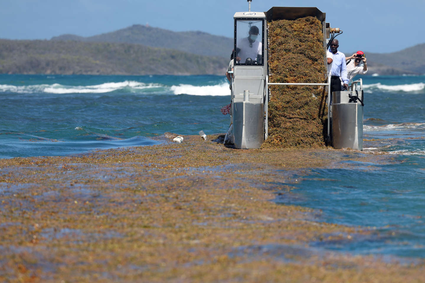 Algues sargasses : aux Antilles, « on craint le pire »