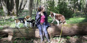 Le business des promeneurs de chiens trouble la tranquillité des forêts franciliennes