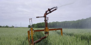 « C’est la première année que j’arrose mes blés » : la sécheresse printanière hante les agriculteurs du Maine-et-Loire