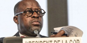 En Côte d’Ivoire, la COP15 contre la désertification se dote d’un président empêtré dans un scandale de trafic de bois