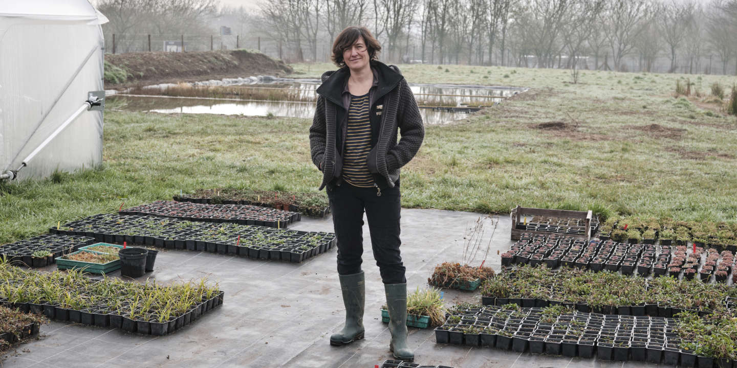 Elodie Seguin, la pépiniériste qui veut réhabiliter les plantes sauvages en Ile-de-France