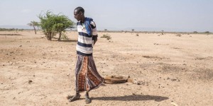 En Ethiopie, la pire sécheresse « jamais vécue » ravage les vies des nomades somali