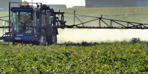 La guerre en Ukraine menace le verdissement de la politique agricole européenne