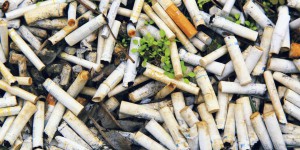 « L’industrie du tabac multiplie les tentatives pour paraître responsable et respectueuse de l’environnement »