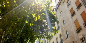 Canicule : pic de chaleur attendu samedi sur la France