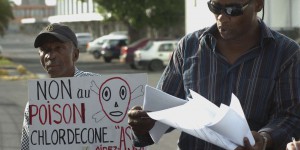 Chlordécone aux Antilles : les « négligences fautives » de l’État reconnues par la justice