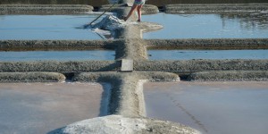 Le combat des producteurs de sel marin de la façade atlantique en faveur d’un vrai label bio de l’Union européenne