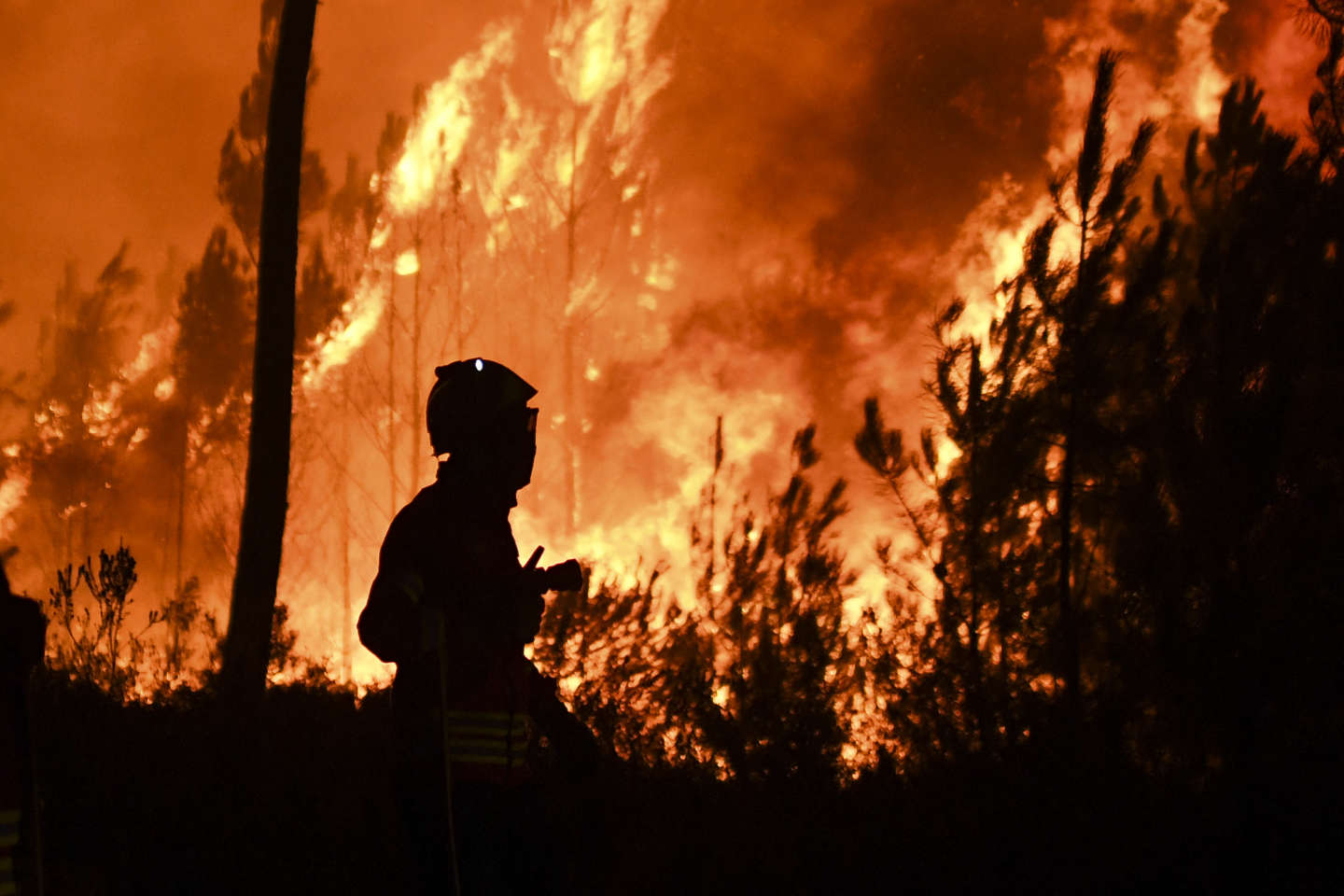 Les incendies de forêt, un casse-tête scientifique