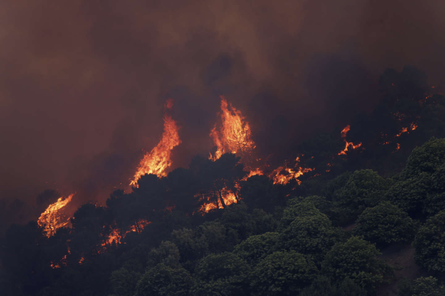 Les incendies gagnent du terrain en Espagne, frappée par une vague de chaleur extrême