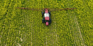 Pesticides dangereux : « Le Monde » maintient ses informations après la contestation de deux études