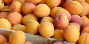 « Les producteurs d’abricots s’attendent à un repli du prix cette année, après, il est vrai, un sommet atteint en 2021 »