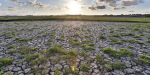 « Des records de température continueront à être battus transformant notre planète en terres inhabitables »
