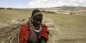 En Tanzanie, des Masaï expulsés de leurs terres au nom de la protection de la faune sauvage et du tourisme