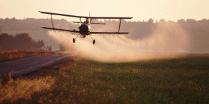 Agriculture : « Le marché des pesticides dangereux est hautement rentable pour les firmes chimiques européennes »
