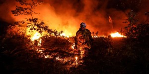 Canicule, incendies, dérèglement climatique… Suivez notre direct et posez vos questions