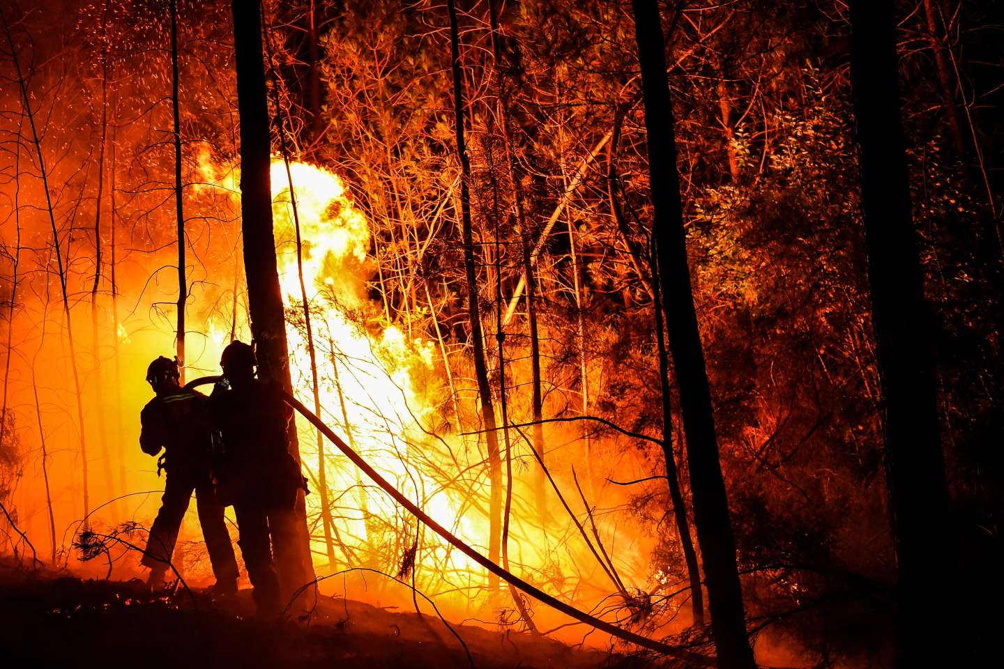 Des centaines de pompiers luttent contre un « mégafeu » dans le Gard, « toujours actif »
