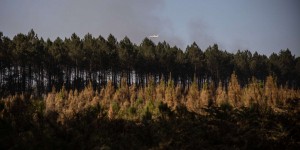 Chaleur : Météo-France prévoit un « très fort danger d’incendies »