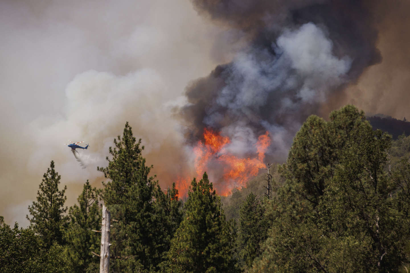 Etats-Unis : hors de contrôle, le « Oak Fire » se propage à toute allure en Californie