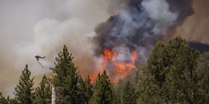 Etats-Unis : hors de contrôle, le « Oak Fire » se propage à toute allure en Californie