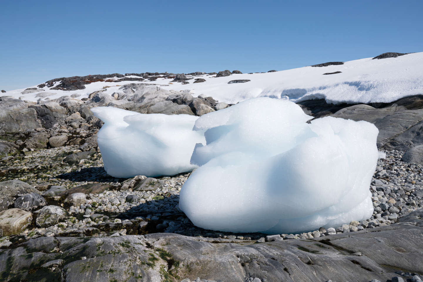 La farine de roche, un nutriment prometteur issu de la fonte des glaces du Groenland