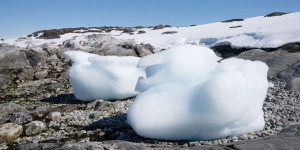La farine de roche, un nutriment prometteur issu de la fonte des glaces du Groenland