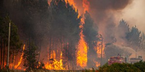 La Gironde confrontée à des feux de forêt violents et à une forte chaleur